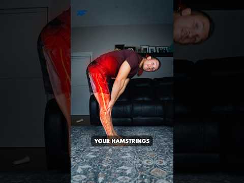 STOP Stretching Your Hamstrings!