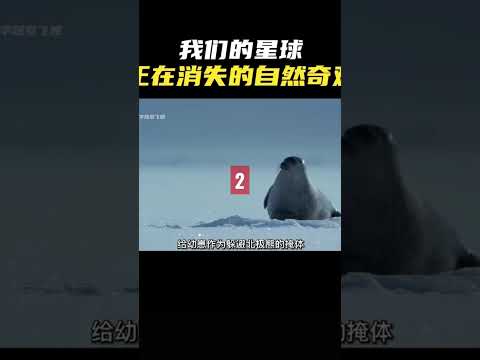 我们的星球-正在消失的自然奇观（2）