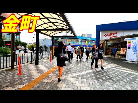 【平日昼間】金町駅周辺を散策！東京都葛飾区(Japan Walking around Kanamachi Station)