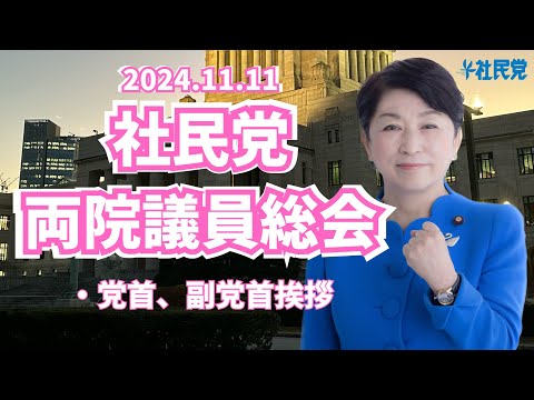 2024.11.11両院議員総会 #社民党 #福島みずほ #大椿ゆうこ #新垣クニオ