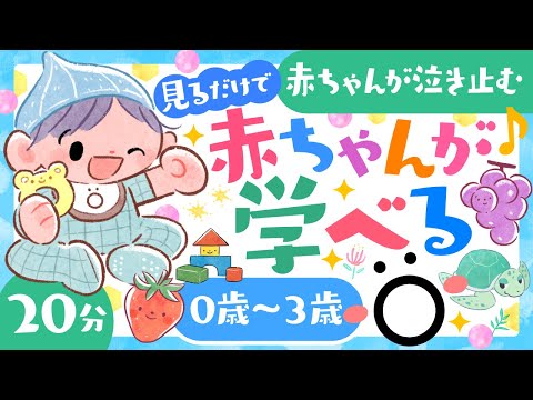 【赤ちゃんが喜ぶ音楽】赤ちゃんが学べる│赤ちゃんが泣き止む・笑う　歌　音楽　親子で楽しむ知育│乳幼児育児中の方向け│0歳1歳2歳3歳児│baby anime