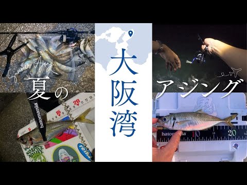 来たぞ激熱パターン！大阪湾・夏の【爆釣】アジング