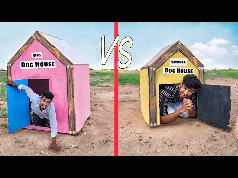 Living 24 hours in pet house