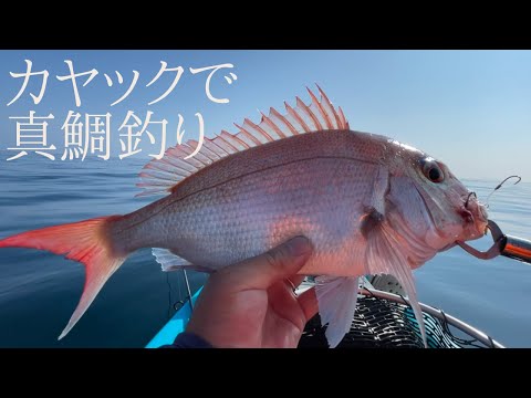 海図見ながら新規開拓【カヤック】真鯛とカワハギで美味しい魚ばかり釣れる海発見