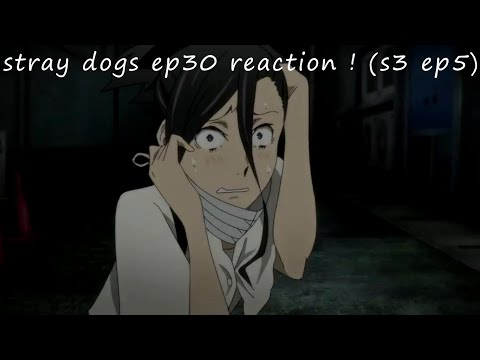 H E L L O, THIS IS CHINA TOWN~stray dogs ep30 reaction ! (s3 ep5)