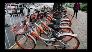 〜中国の生活〜 シェアバイク編