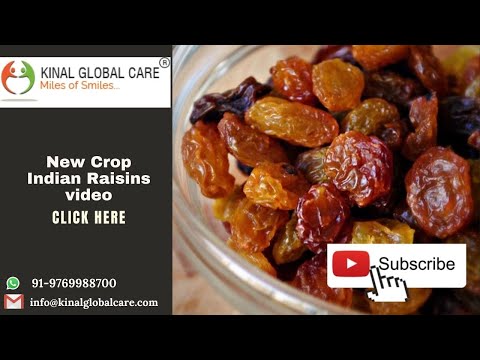 New Crop Indian Raisins