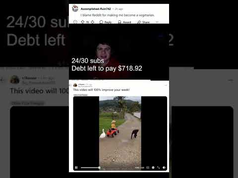 Fanof reacts to "This video will 100% improve your week!"  u/Big_Presentation878 (via redidt)