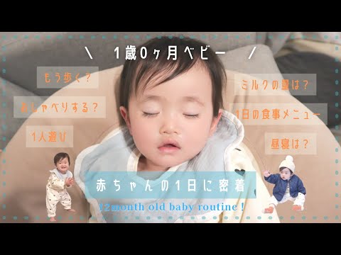 【密着】1歳0ヶ月赤ちゃんの1日ルーティン/離乳食メニュー/生後12ヶ月/初めての言葉はママ