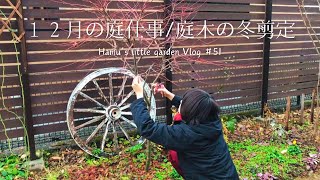 Garden work in December/Winter pruning of garden trees