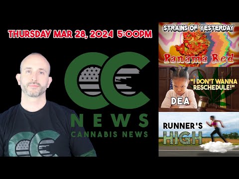 Cannabis News Update – Panama Red, More DEA Nonsense, and, How to Run High