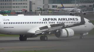 [4K] 新千歳空港 生コンポイント JAL Boeing 737-800 JA324J Landing