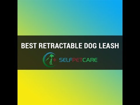 Flexi Explore Retractable Dog Leash