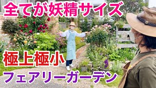 【真似したい！】小さなお庭でもここまで素敵にできます　　　　　　【カーメン君】【園芸】【ガーデニング】【個人庭】【南さん】