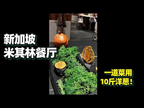 【新加坡美食 | Euphoria】這道菜看著綠野仙踪,實際用了10斤洋蔥!