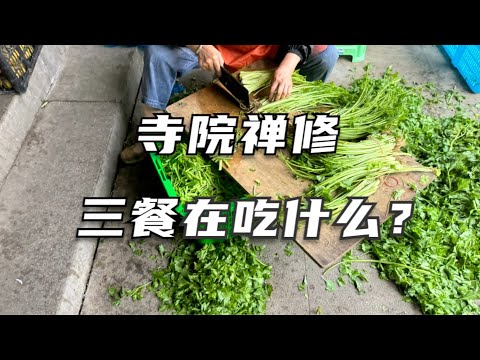 小黑兔禅修纪（七）：重元寺的斋菜太好吃了！我可以吃素一辈子 How is the food in China Temple？