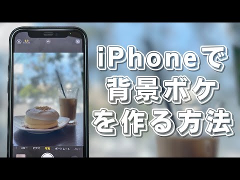 【初心者向け】iPhoneで一眼カメラ並みの背景ボケを作る方法