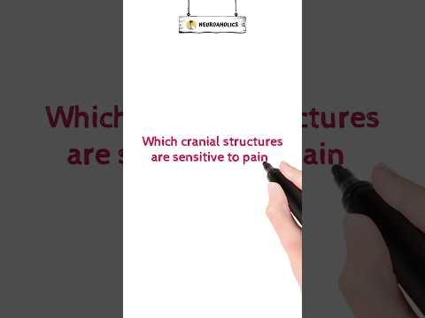 Cranial pain sensitive structures #neurology #shorts #pain