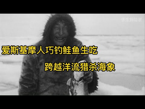 爱斯基摩人巧钓鲑鱼生吃，远渡重洋猎杀海象，现实版荒野求生鼻祖