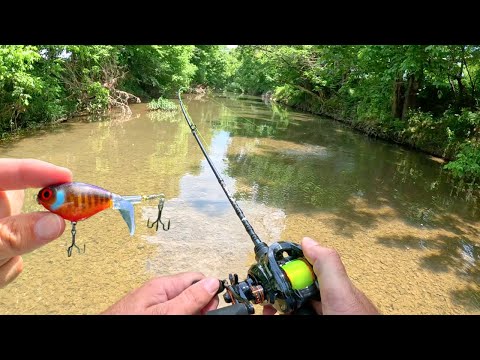 BFS Topwater Fishing Small Creek!