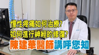 慢性疼痛如何治療? 如何進行神經修復? 陳建華醫師講呼您知