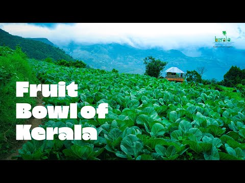 An Idyllic Farm Village in the Hills | Kerala Tourism