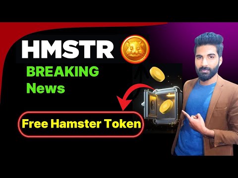 Hamster launch pool | hamster kombat binance withdrawal | hamster secret airdrop | #aqibntv