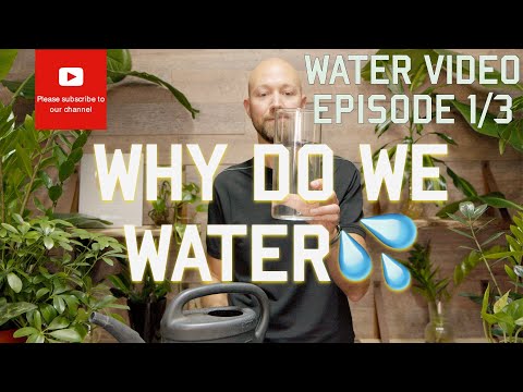 Why do we water? Episode 1 of 3 💦