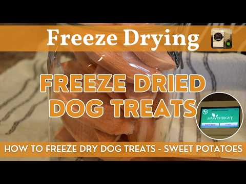 Freeze Dried Dog Treats | Harvest Right Freeze-Dried Vegetables | How to Freeze Dry Sweet Potatoes!