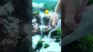 Underwater Waterfall #aquarium #aquascape #aquascaping