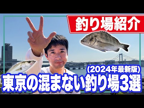 【豊洲ぐるり公園】人混みが嫌いなあなたにストレスの少ない釣り場をご紹介