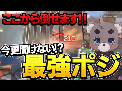 【Apex】今更きけない最強ポジ教えます！プロでは常識のここ使えます【エーペックスレジェンズ】