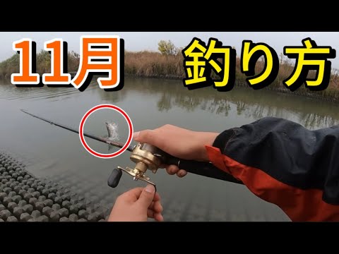 【バス釣り】11月(秋本番〜晩秋)/デカバスを爆釣するためのコツや考え方を実釣しながら徹底解説します