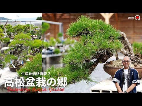 Price survey of production areas! I went to Takamatsu Bonsai Village [Bonsai Q]