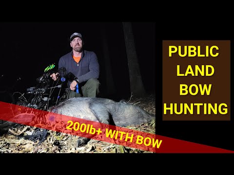 Deer Hunting in South Carolina | PUBLIC LAND|  Hog Hunting in South Carolina