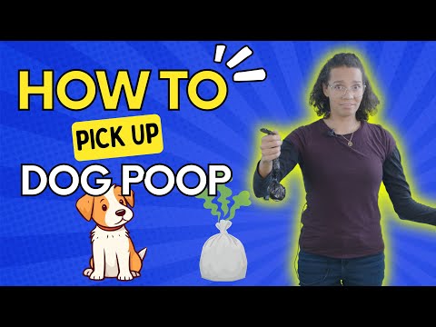 How to Pick up Dog Poop | Kids Learn Life Skills