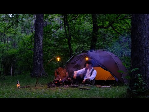 Camping Alone in Deep Wild Forest of Japan