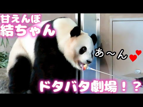 甘えんぼ結ちゃん🎀のドタバタ劇場！？