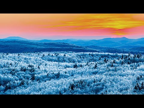 The Day the Shire Froze Over ❄️ Spring Life in the Countryside