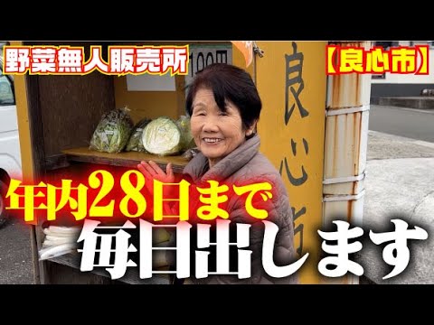 【お待たせしました】年内28日まで毎日良心市にお野菜を出します。