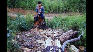 The Greening of Thailand (extract)