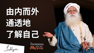 由内而外，通透地了解自己 | Sadhguru 萨古鲁