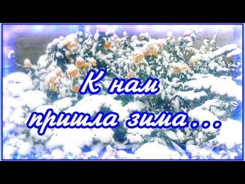 ❄️❄️К НАМ ПРИШЛА ЗИМА!СНЕЖНЫЙ АРМАГЕДОН!❄️❄️❄️