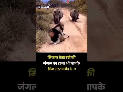 mijaj Aisa rakhe ki|| jungle ka raja Sher bhi|| rasta d de #motivation #shorts_ #motivationalstatus