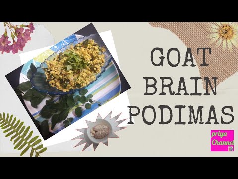 Brain podimas/priya wow channel