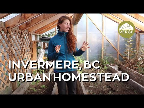 A Tour of Kalista Pruden's Timber-Frame Greenhouse and Urban Homestead