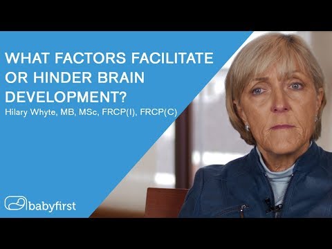 Important Factors for Brain Development in Neonates