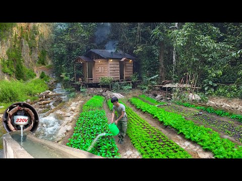 2 year living off grid in forest, doing electricity, Make toilet, gardening, harvest to market sell