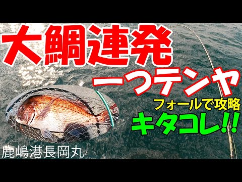 【一つテンヤ】大ダイ連発で超楽しい！フォールで攻略 鹿嶋港長岡丸 2022/5/28