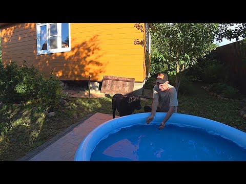 We Bought a Swimming Pool / Russian Village Vlog